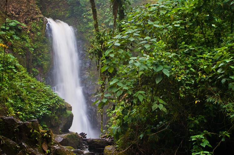 La Paz Waterfall Gardens, Costa Rica